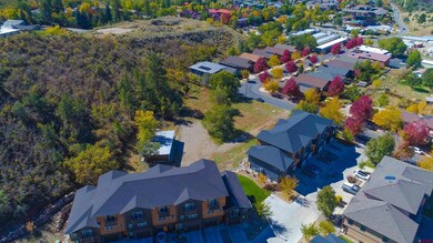 170 Metz Ln, Durango, CO 81301 - photo 7