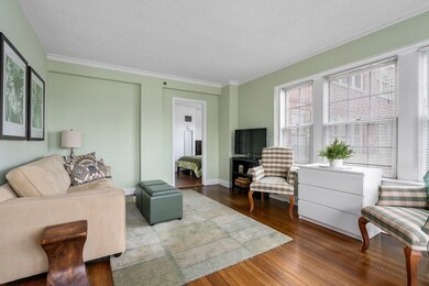 The Charlesview unit 307, Boston, MA 02215 - photo 4