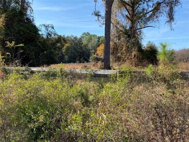 19690 NE 73rd Terrace, Citra, FL 32113 - photo 6