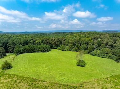 434 Farm Rd, Trion, GA 30753 - photo 4