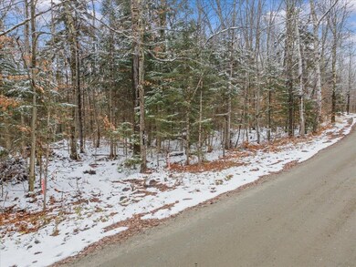 93 White Birch Rd, Morristown, VT 05661 - photo 6