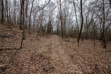 TBD S Hwy 71, Winslow, AR 72959 - photo 7