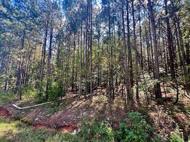 1150 Denton Rd unit 371, Douglasville, GA 30134 - photo 4