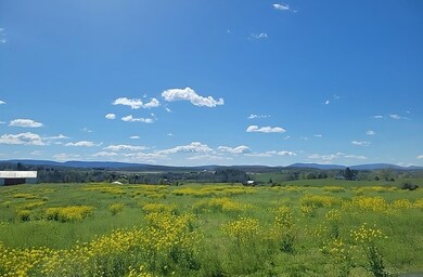 4 ACRES Miller Rd, Waynesboro, VA 22980 - photo 4