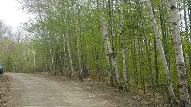 71 Emery, Bartlett, NH 03812 - photo 4