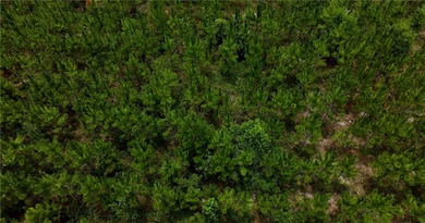 0 Cr 235 unit MFRGC531321, Newberry, FL 32669 - photo 4