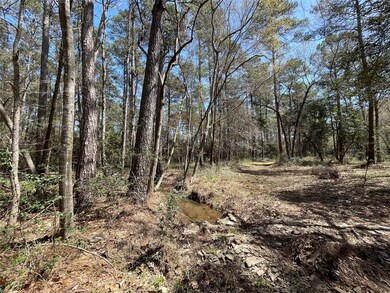 TBD2 Dan Cir, Magnolia, TX 77355 - photo 7