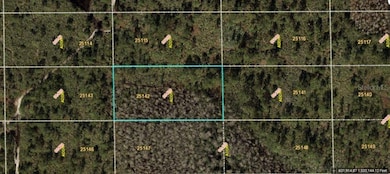 0 Dill Rd unit MFRO6234205, Orlando, FL 32820 - photo 2