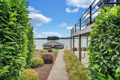 03-Rapid Imagery-3607