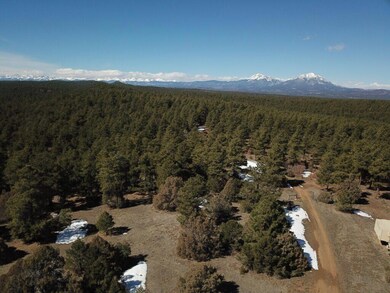 DJI_0057-1024x768