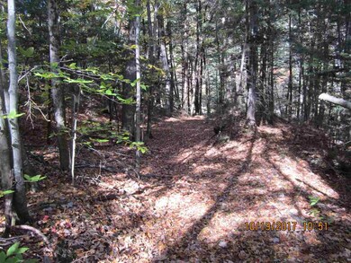 0 Gulf Rd unit 4664695, Chesterfield, NH 03443 - photo 2