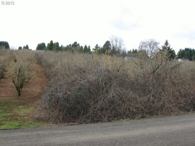 18320 NE Fairview Dr, Dundee, OR 97115 - photo 6