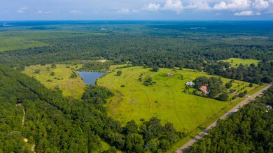 6333 Co Rd 393 Aerial-3