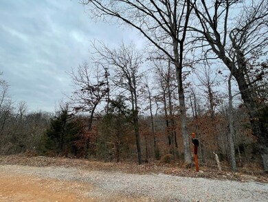 Lot 12 Savidge Cir, Bella Vista, AR 72715 - photo 3