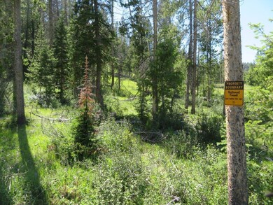 Agentite Quartz Hill Rd, Wise River, MT 59762 - photo 6