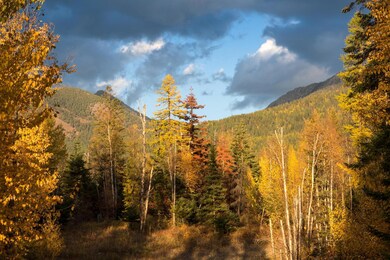 Lot 25 Orvis Evans Dr, Bigfork, MT 59911 - photo 2