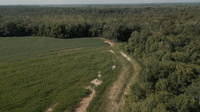 201 Old St Route 104, Trenton, TN 38382 - photo 7