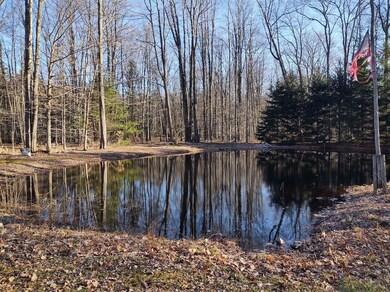 giles pond 3