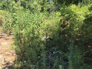 6711 Fountaine St, Houston, TX 77028 - photo 3