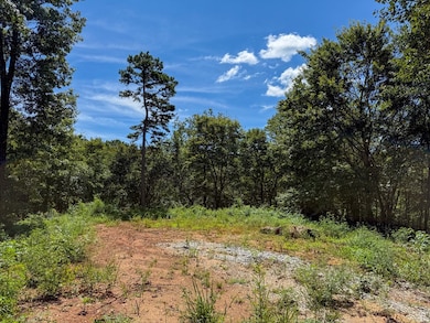 6 Black Rock Trail, Andrews, NC 28901 - photo 6