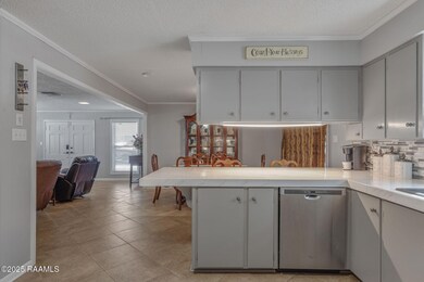 207 N William Dr, Lafayette, LA 70506 - photo 5