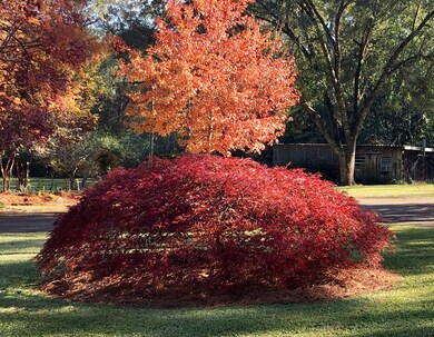 1106 Lexington Ln, McComb, MS 39648 - photo 3