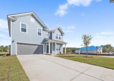 133 Monroe Preserve Ln, Chapin, SC 29036 - photo 2