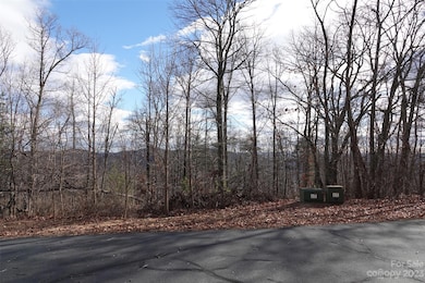 79 Longview Trail, Bostic, NC 28018 - photo 7