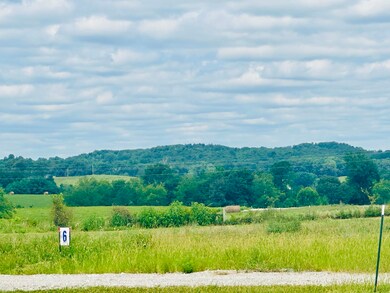 14 Turkey Loop, East Bernstadt, KY 40729 - photo 4