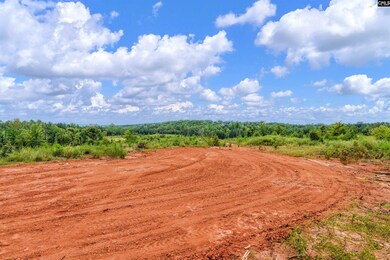 0000 S Carolina 215 unit 8, Jenkinsville, SC 29065 - photo 4