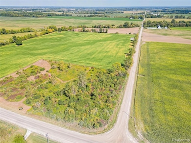 9991 Mccrone Rd, Milan, MI 48160 - photo 3