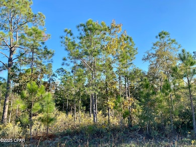 Lot 128 Nezperce Dr, Alford, FL 32420 - photo 2