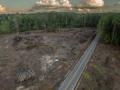 0 Ashley Rd unit 11613506, Brandon, MS 39042 - photo 4