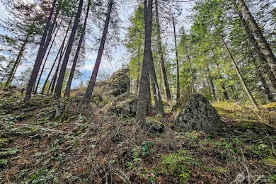 4700 E Deer Park Milan Rd, Chattaroy, WA 99003 - photo 5