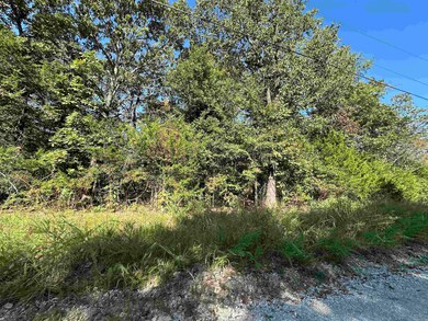 Lots 1 & 2 Round Mountain Dr, Flippin, AR 72634 - photo 4