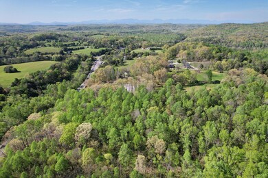 11-web-or-mls-DJI_0927