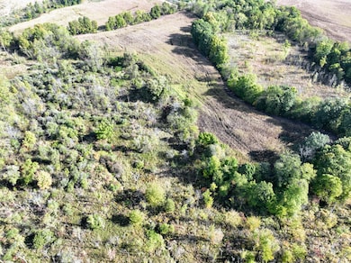 VL Hoffman Street Lot#wp001 St, Vandalia, MI 49095 - photo 3