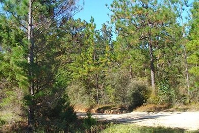 5 Acres in Euchee Valley