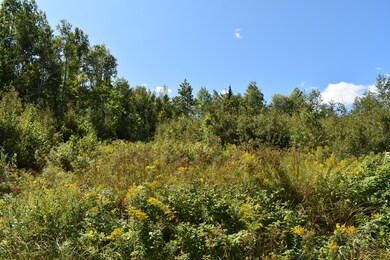 102 Forest Ln, Carroll Plantation, ME 04487 - photo 5