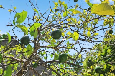 895 Princeton Dr, Sonoma, CA 95476 - photo 6