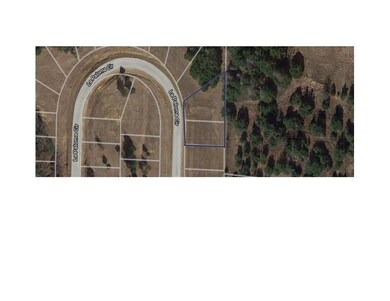 231 La Paloma Cir, Gordonville, TX 76245 - photo 4