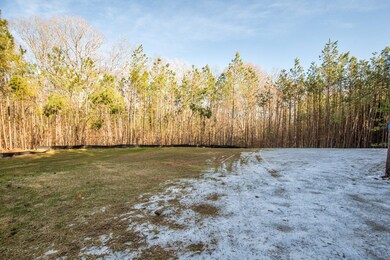 2125 Walnut Tree Terrace, Powhatan, VA 23139 - photo 4