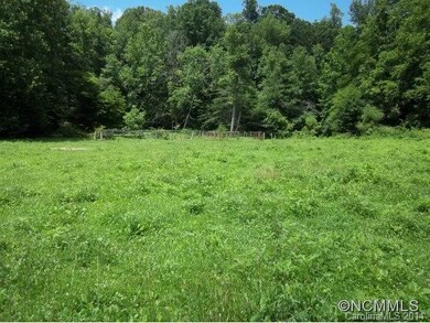 NE view lower Pasture