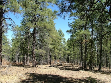 28 Puma Ct unit H13, Trinidad, CO - photo 5