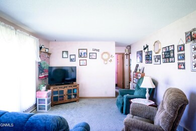 1406 11th St SE, Jamestown, ND 58401 - photo 5