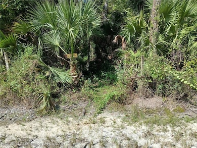 240 Sheppard Rd, Venus, FL 33960 - photo 2