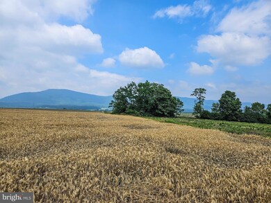 1699 Mercersburg Rd, Saint Thomas, PA 17252 - photo 7