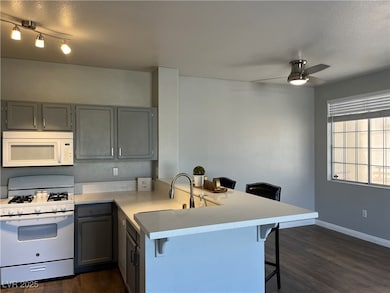 MATCHING WHITE APPLIANCES AND DESIGNER PAINT COLOR