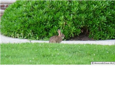 119 Morristown Rd unit 218A, Matawan, NJ 07747 - photo 2