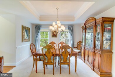 811 Lincoln Ave, Falls Church, VA 22046 - photo 6